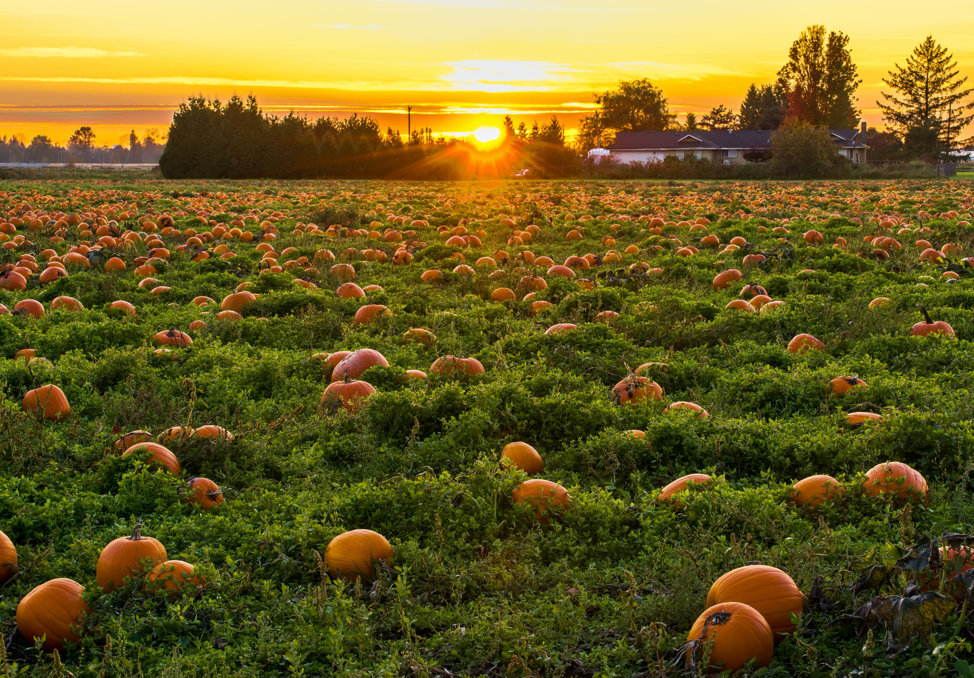 Autumn Newsletter 2023