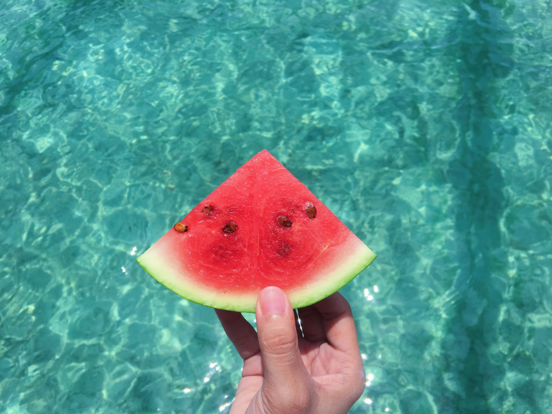 Summer Newsletter 2023