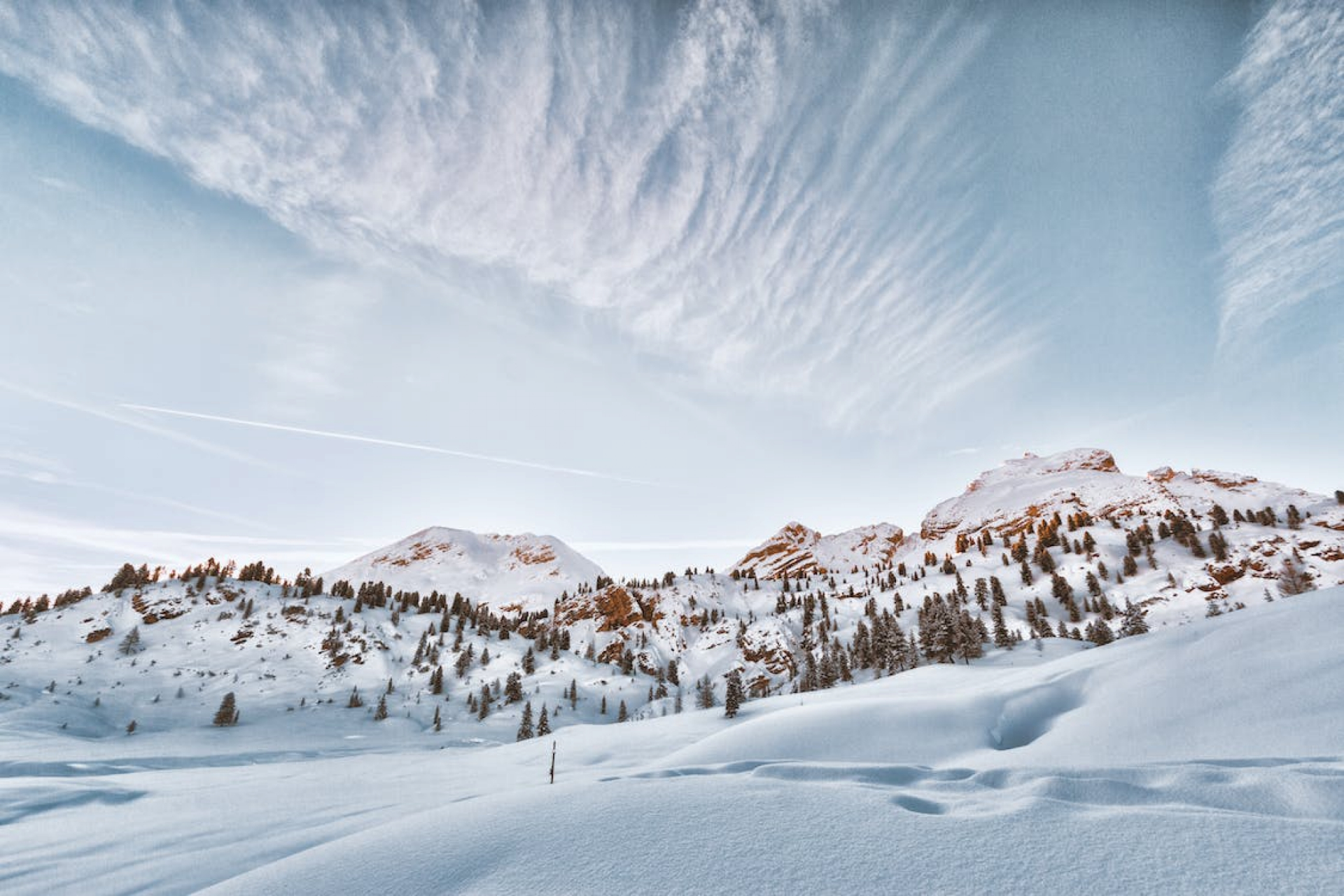 Winter Newsletter 2022