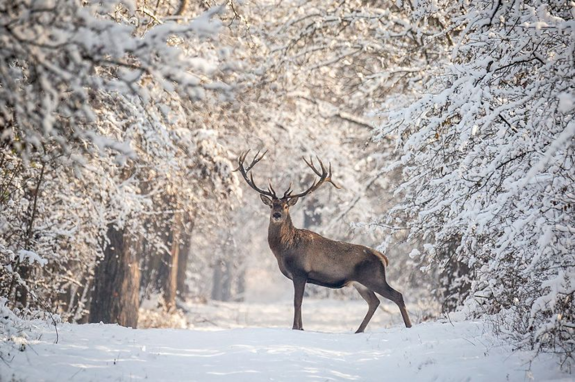 Winter Newsletter 2023